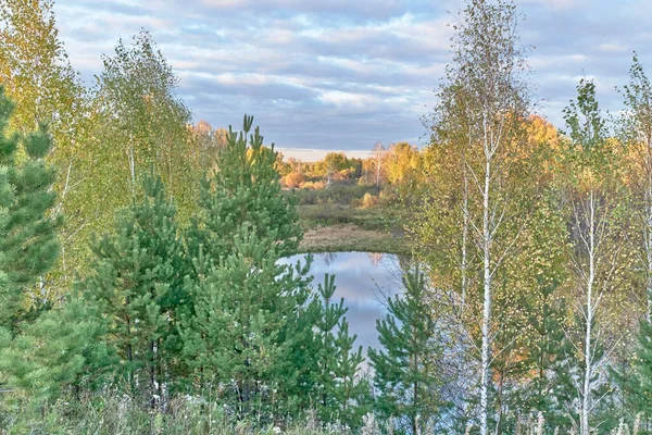 Prachtig herfstlandschap met pijnbomen, berken, vijver en kleurrijke bewolkte lucht — Stockfoto