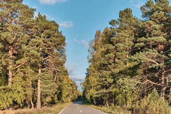 Piękny krajobraz wiejski z drogą biegnącą w dal wśród lasów — Zdjęcie stockowe