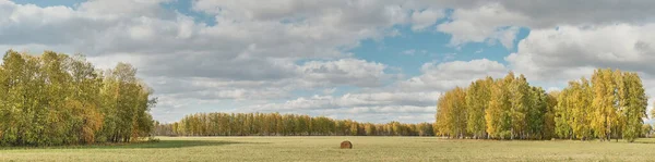 Paisagem rural bonita com floresta colorida, campos e um rolo de feno no dia de outono — Fotografia de Stock