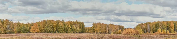 Красивый сельский пейзаж с красочными лесами и полями — стоковое фото