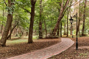 Yaprakları dökülen renkli fayanslardan, sonbahar parkında yürümek için güzel lamba direklerinden oluşan bir yol..