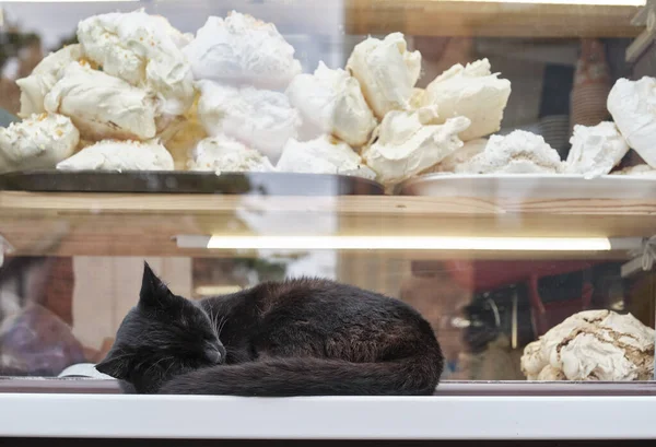 Black-brown cat sleeping on counter over background of showcase with white cakes meringues.