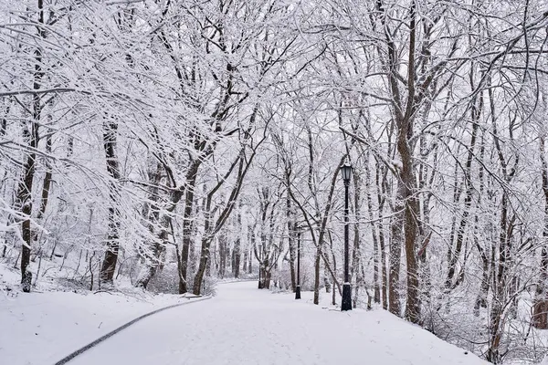 Camino peatonal en invierno cubierto de nieve parque de la ciudad. Paisaje invernal en día nublado. Ruta de Terrencourt — Foto de Stock