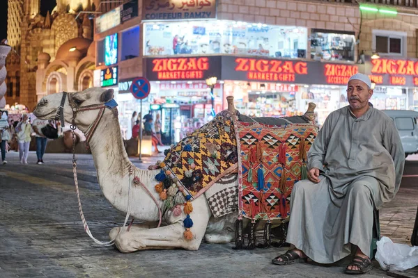 Портрет зрілого чоловіка в традиційному одязі і гарненьких верблюдів в упряжі, сідло — стокове фото