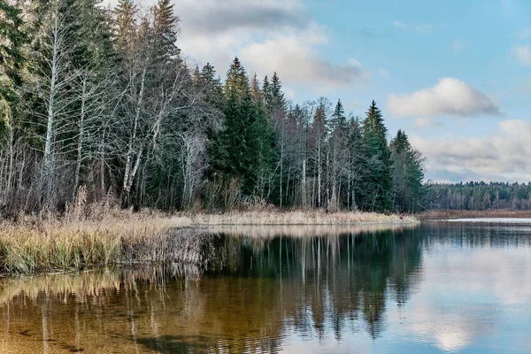 Paisagem rural no final do outono. Árvores de abeto e bétula refletindo na superfície do espelho do lago calmo no dia ensolarado. — Fotografia de Stock