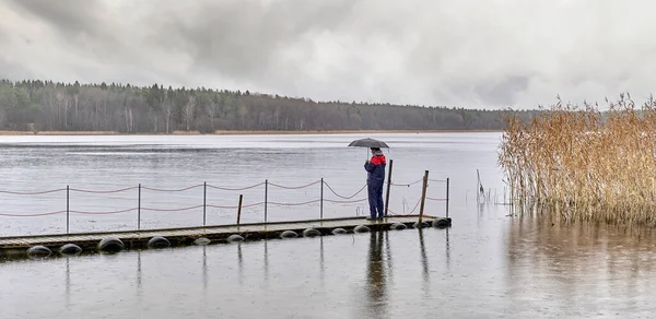 Man staat onder paraplu op houten pier op herfst regenachtige grijze dag over van achtergrond van meer en bos. — Stockfoto