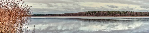 Quiet calm lake on shore of which there forest with birch and conifers.Dry reed grass — Fotografia de Stock