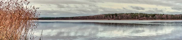 Quiet calm lake on shore of which there forest with birch and conifers.Dry reed grass — Stock Fotó