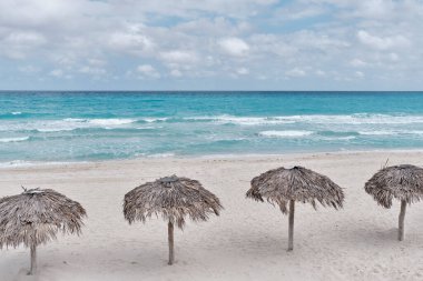 Küba 'nın Atlantik kumlu plajı, Varadero tatil beldesi. Dört palmiye yaprağı güneş şemsiyesi.