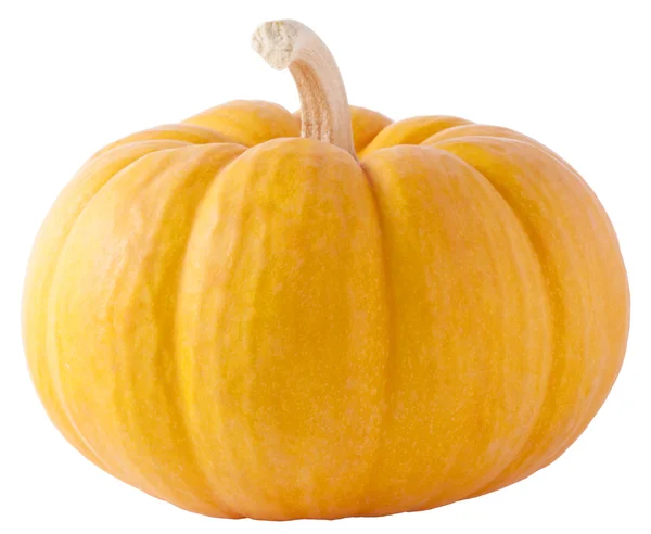 Pumpkin with clipping path — Stock Photo, Image