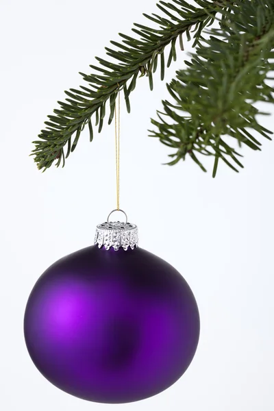 Christmas Ornaments hanging on tree — Stock Photo, Image