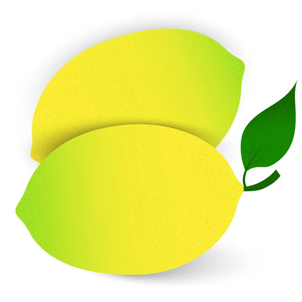 Limão colorido no fundo branco. limão inteiro. Ilustração vetorial. Imagem de stock. —  Vetores de Stock