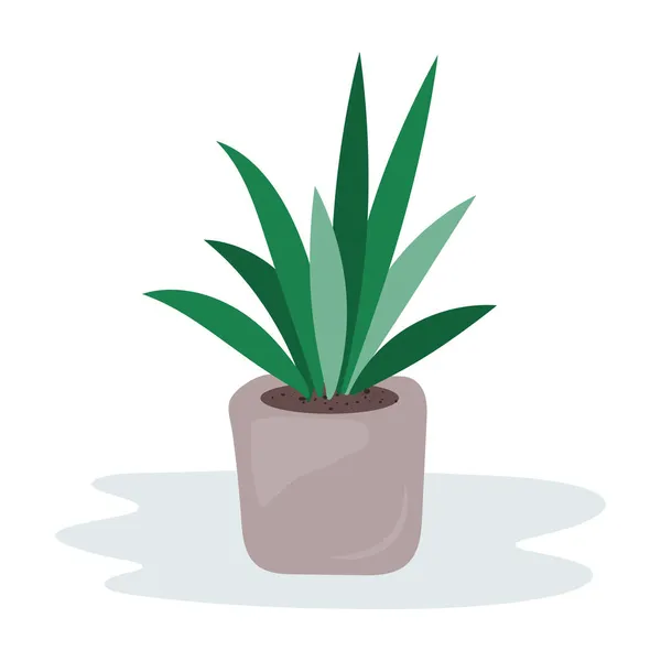 Casa planta em vaso de plantas. Jardim da casa. Design criativo. Ícone realista. Desenhos animados. Ilustração vetorial. Imagem de stock. — Vetor de Stock