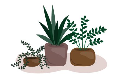 Saksıdaki ev bitkileri. Gerçekçi bir ikon. Çizgi film sanatı. Yaratıcı tasarım. Kapalı alan bitkisi. Vektör çizimi. Resim yükle.