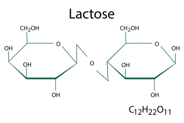 Formula chimica di lattosio. Elemento scientifico. Struttura molecolare. Composto organico. Illustrazione vettoriale. Immagine stock. — Vettoriale Stock