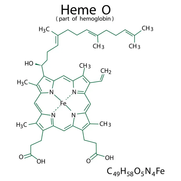 Formula chimica dell'eme O. Fa parte dell'emoglobina. Struttura molecolare. Composto organico. Illustrazione vettoriale. Immagine stock. — Vettoriale Stock