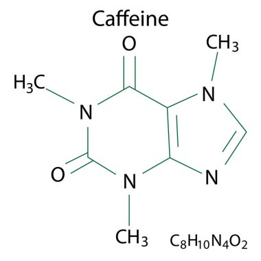 Kafein kimyasal yapısı. İskelet elementi. Organik bileşik. Moleküler formül. Vektör çizimi. Resim yükle. 