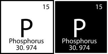Phosphorus chemical element. Education background. Mendeleev table. Modern design. Vector illustration. Stock image.  clipart