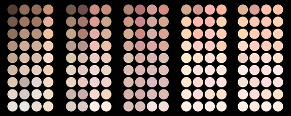 Collection of skin tones palettes. Realistic effect. Beauty sphere. Black background. Vector illustration. Stock image. — Stock Vector