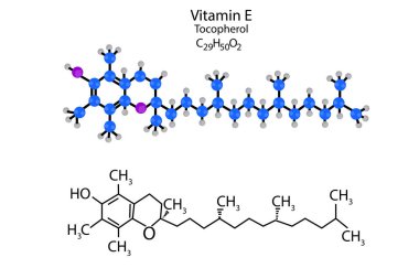 E vitamini moleküler yapısı. Tocopherol iskelet formülü. Bilimsel geçmiş. Vektör çizimi. Resim yükle.