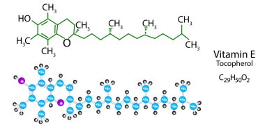 E vitamini moleküler yapısı. Tocopherol iskelet formülü. Bilimsel geçmiş. Vektör çizimi. Resim yükle.