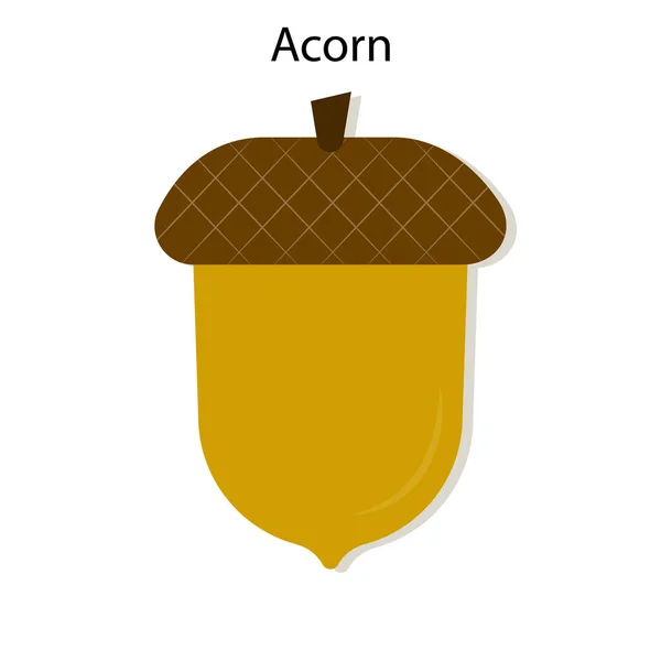 Acorns tekenen. Eiken symbool. Voedsellogo. Herfstseizoen. Natuurconcept. Eenvoudig ontwerp. Vector illustratie. Voorraadafbeelding. — Stockvector