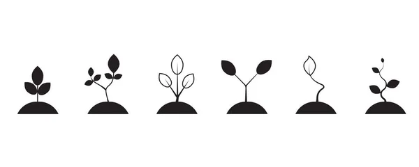 Sprossen Silhouetten. Eco line icon set. Natur im Hintergrund. Silhouetten-Illustration. Vektorillustration. Archivbild. — Stockvektor