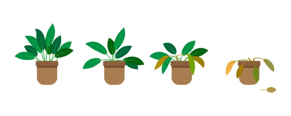 Pot de fleurs en phase de croissance dans un style plat. Concept de jardinage. Illustration vectorielle. Image de stock. — Image vectorielle