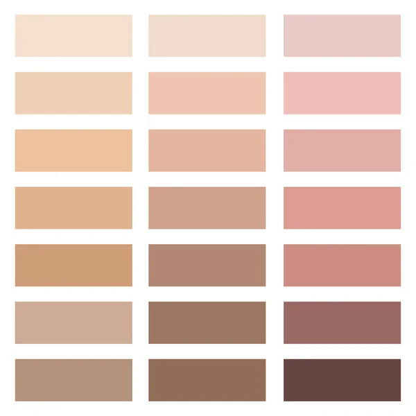 Skin Color Palette Human Skin Tones Vector Illustration Stock Image — Stock Vector