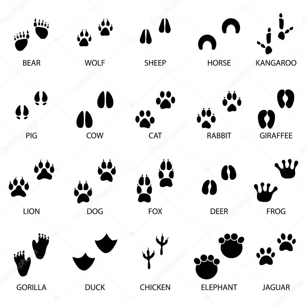 black animal tracks icons. Animal feet silhouette. Vector illustration. Stock image. EPS 10.