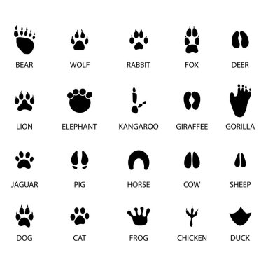 black animal tracks icons. Animal feet silhouette. Vector illustration. Stock image. EPS 10.