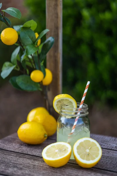 İçinde dilimlenmiş limonlar ve limon dalları olan ev yapımı taze limonata kavanozu.