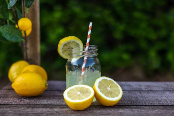 İçinde dilimlenmiş limonlar ve limon dalları olan ev yapımı taze limonata kavanozu.