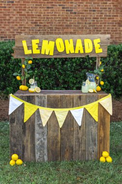 Sıcak bir yaz gününde çocukların ilk iş olarak limonata satmaya başlaması için hazırlanmış boş bir limonata standı.