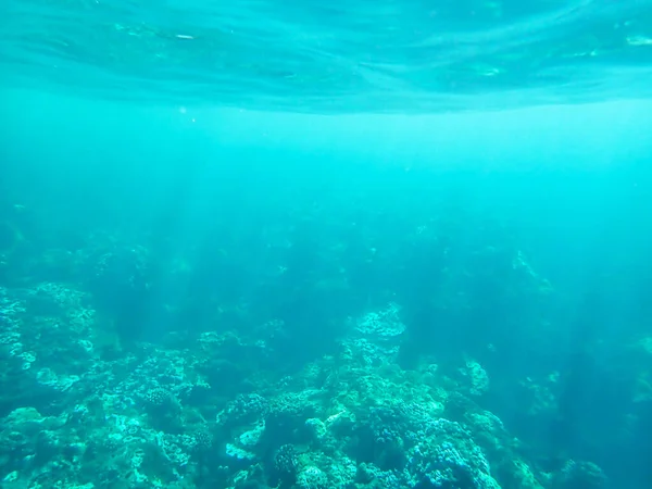 하와이에서 이비치면서 태평양 바다와 산호초의 — 스톡 사진