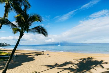 A beach in Maui Hawaii with sand, waves, palm trees and a blue sky.