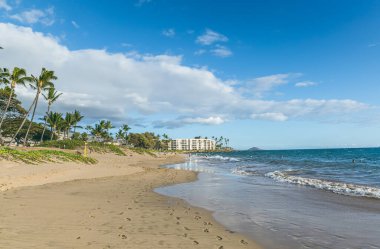 Maui Hawaii right before sunset with palm trees and waves from the Pacific ocean.