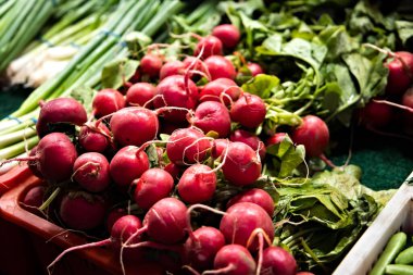 A large pile or bin of red organic radishes for sale at a local outdoor farmers market.