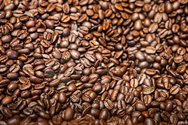 A large bin or pile of whole brown organnic coffee beans.