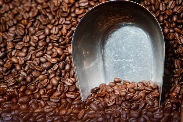 A large bin or pile of whole brown organnic coffee beans with a large metal serving scoop.