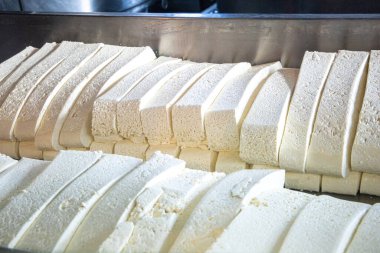 Fresh cheese made and ready for packaging.