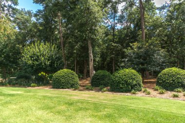 a large backyard of a home with shrubbery and a garden and trees.