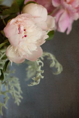 Soft pink peonies in a vase.
