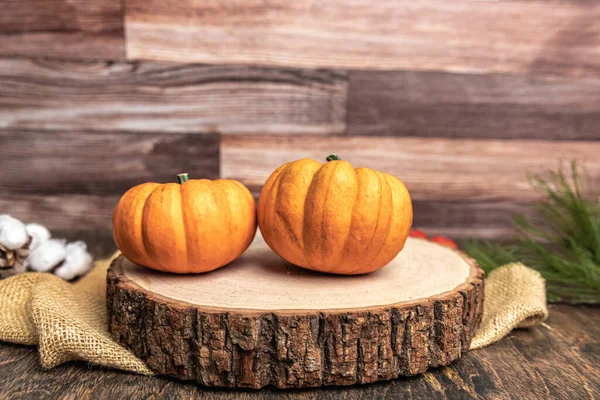 Two small pumpkins sitting on a cut log with a rustic wood background and extured burlap for fall autumn decoration in October with copy space.