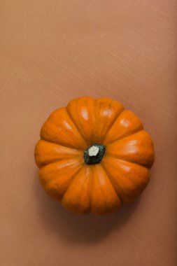 A single miniature pumpkin on a textured orange surface for harvest Halloween October November home decor.