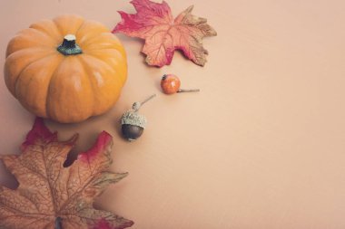 A single miniature pumpkin and autumn fall leaves on a textured orange surface for harvest Halloween October November home decor.