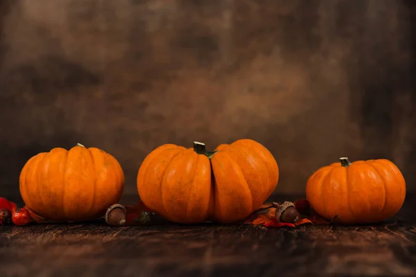 A row of miniature orange pumpkins on a rustic wood surface with a brown abstract background with copy space for a banner or ad.