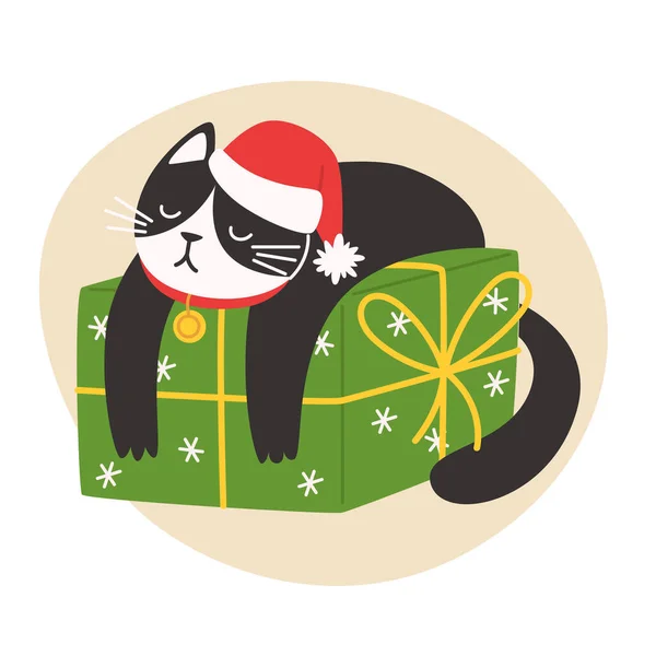 Noel Baba şapkalı kedi Noel kutusunda yatıyor.