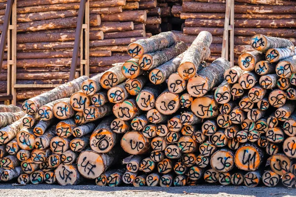 Timber export. Logs are stacked in the port, ready for loading on ships. Selective focus
