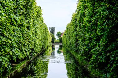 Gdansk, Polonya 'daki güzel Oliwa Parkı. Dikkati dağılmış. Yüksek kalite fotoğraf